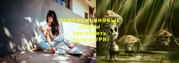 марки lsd Горно-Алтайск