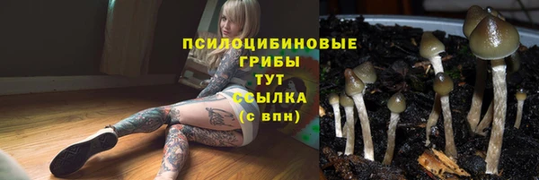 МДПВ Горнозаводск