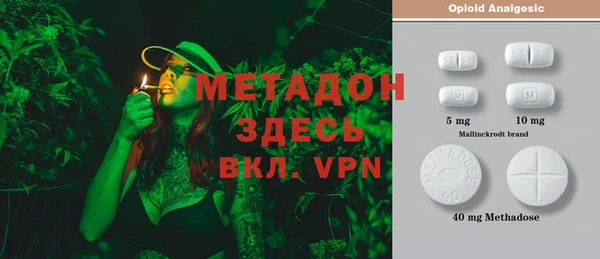 ГАЛЛЮЦИНОГЕННЫЕ ГРИБЫ Горняк