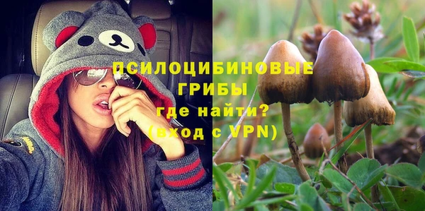 МДПВ Горнозаводск