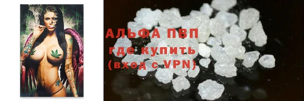 ГАЛЛЮЦИНОГЕННЫЕ ГРИБЫ Горняк