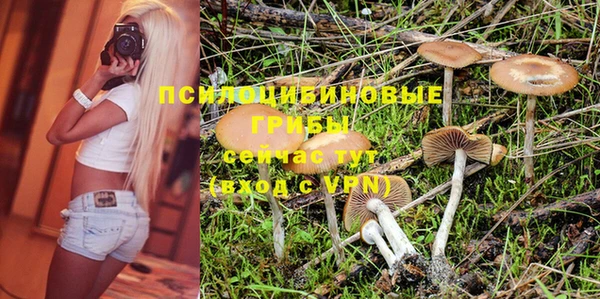 марки lsd Горно-Алтайск