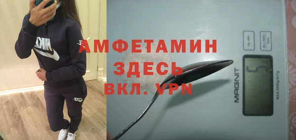 ГАЛЛЮЦИНОГЕННЫЕ ГРИБЫ Горняк