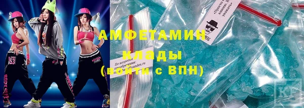 ГАЛЛЮЦИНОГЕННЫЕ ГРИБЫ Горняк