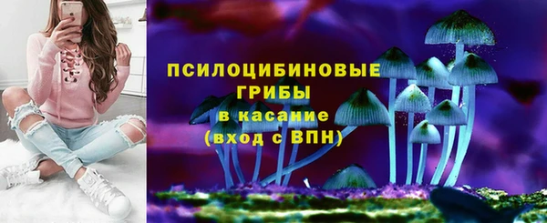 МДПВ Горнозаводск
