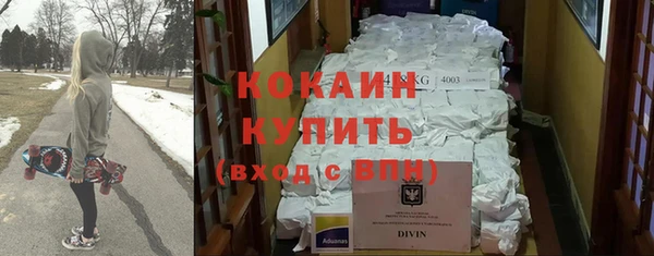 ГАЛЛЮЦИНОГЕННЫЕ ГРИБЫ Горняк