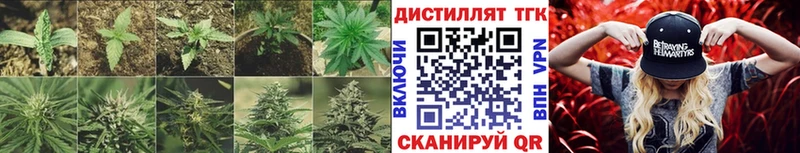 Дистиллят ТГК вейп с тгк  цены   Ессентуки 
